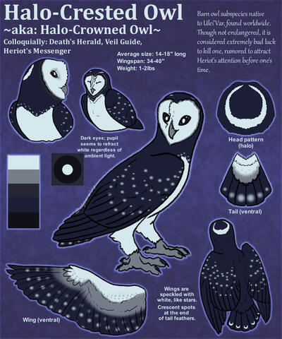 Homebrew Fauna: Halo-crowned Owl